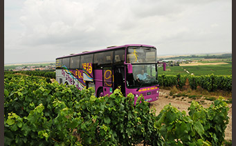 Bus Visite - Richard Dailly - œnotourisme Itinéraire Y - Trajectoire Vin